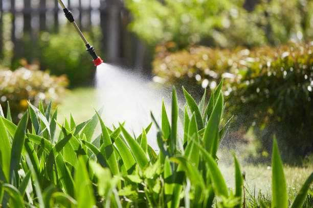 24/7 Emergency Mosquito Control experts in Royersford, PA